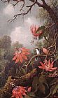 Martin Johnson Heade Hummingbird and Passionflowers painting